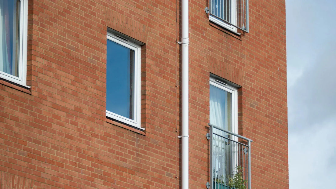 Skadedyr i borettslag og sameier – hvem har ansvaret, og hva sier loven?